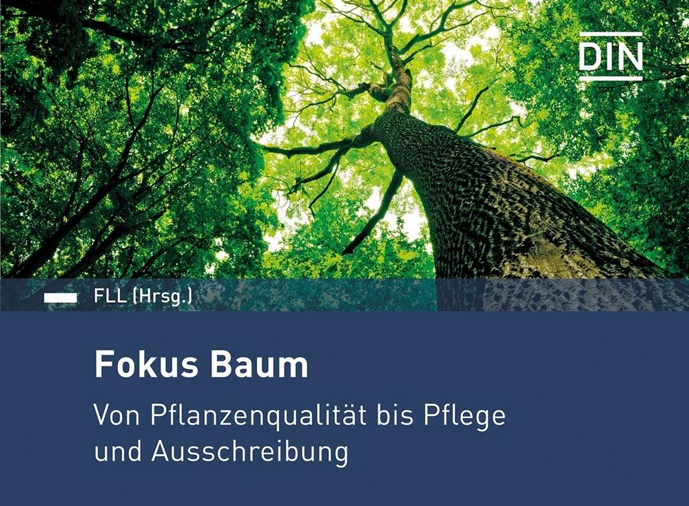 Regeln rund um den Baum