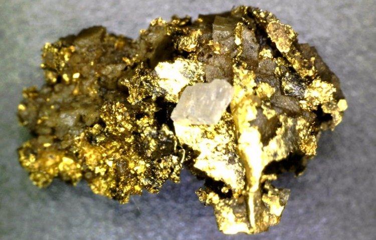 Mawson Resources: Rajapalot sorgt wieder mal für Aufsehen!
