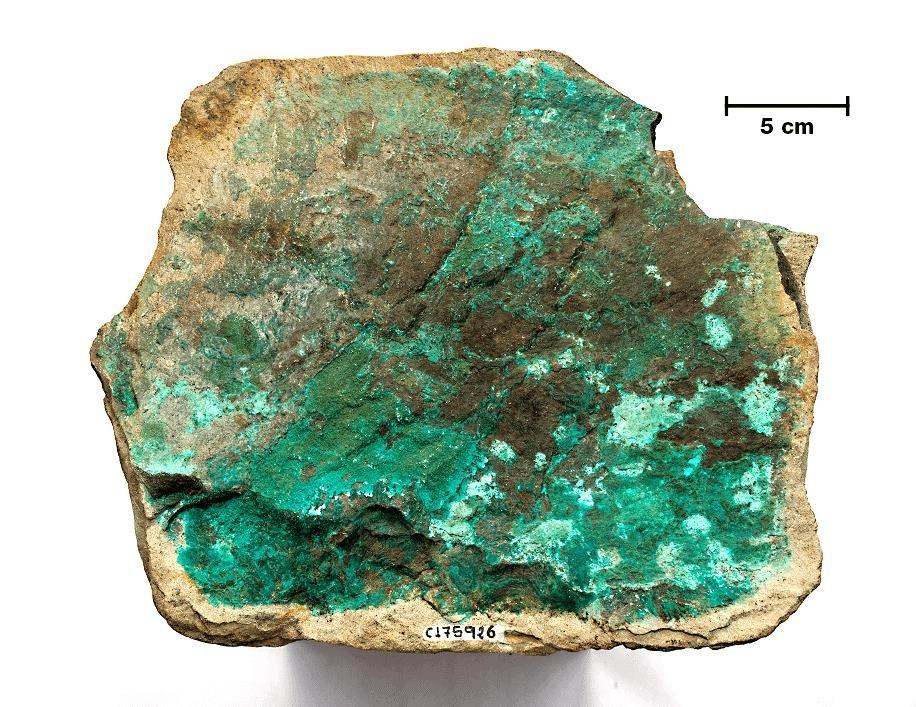 Aurania findet erste signifikante Kupfer- Silbermineralisierungen