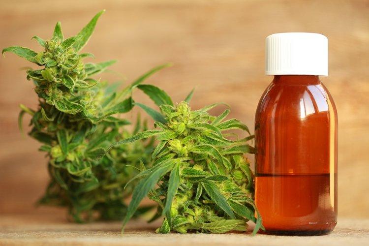 Isracann Bioscineces kommt schneller voran als geplant