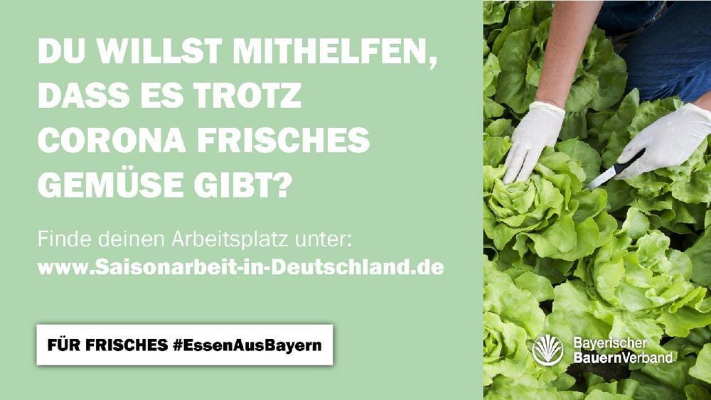 Online-Portal bringt Saisonkräfte und Betriebe zusammen