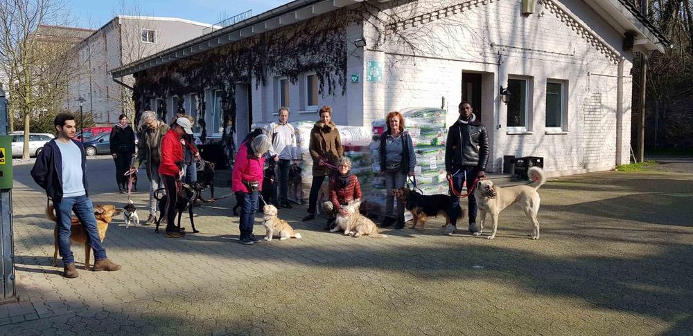 Herzenssache Tierschutz: Fachhandelsgruppe zookauf und GoodyFriends unterstützen tierisch gute Projekte