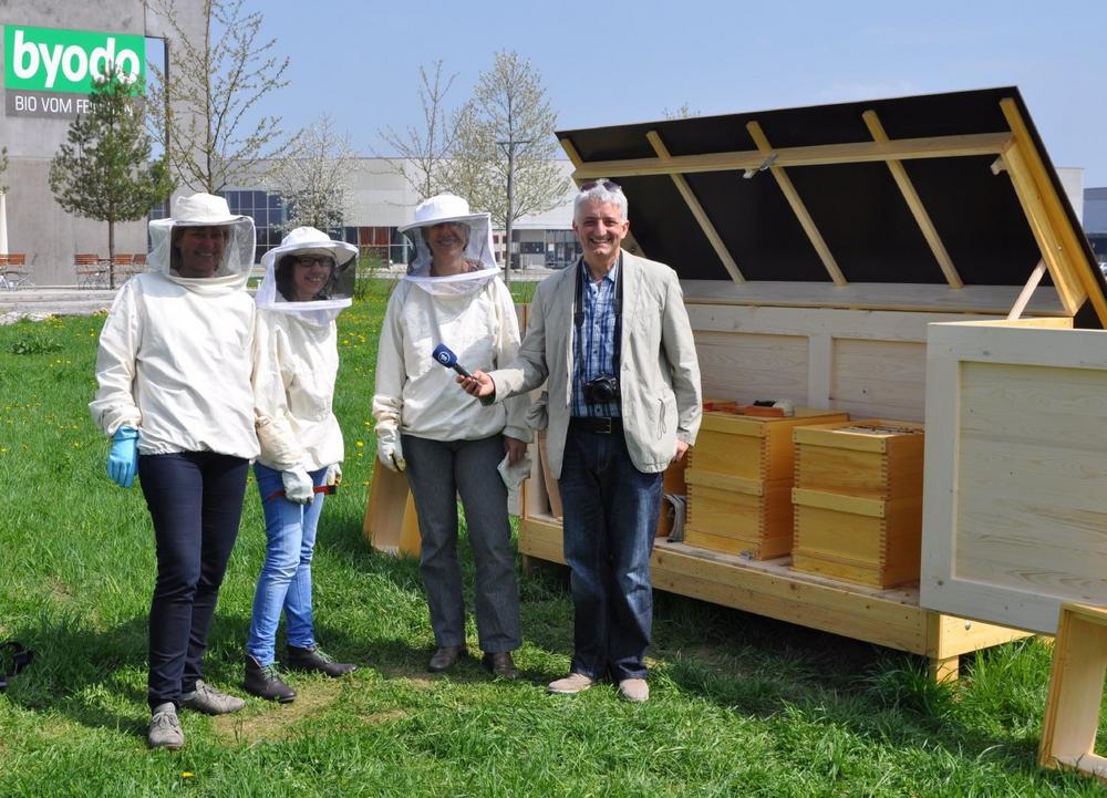 Jahr der Bienen in aller Ohren