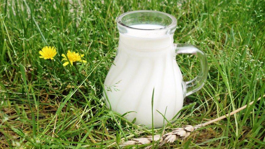 Corona-Krise: Bäuerliche Existenzen von Preisverfall bedroht