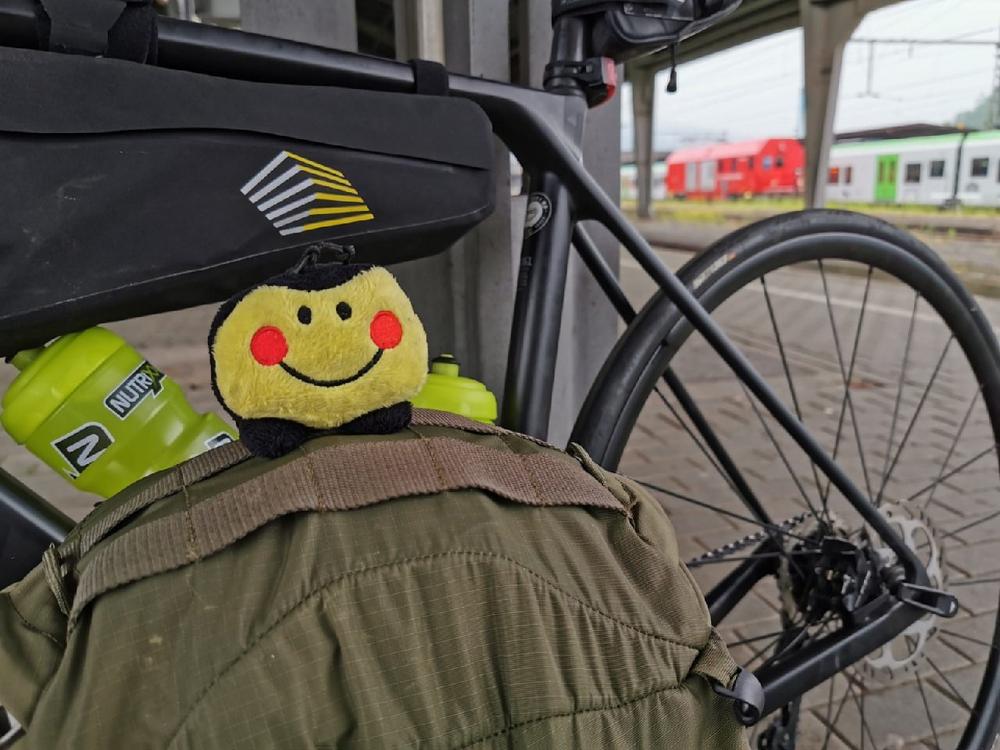 Radeln für den guten Zweck: Von Flensburg bis nach Friedrichshafen