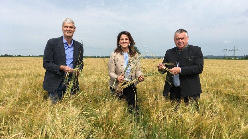 Ernte in Bayern hat begonnen