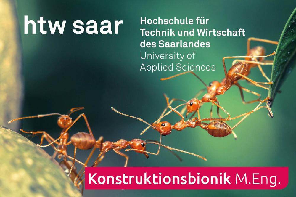 Berufsbegleitend zum Masterabschluss an der htw saar