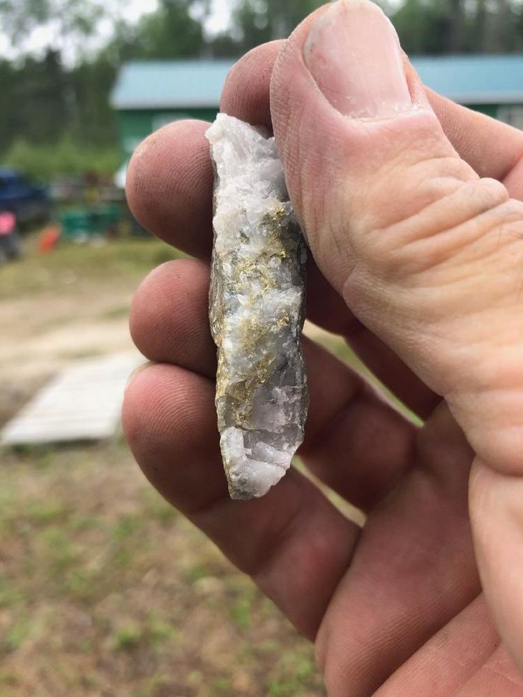 Trillium Gold to Acquire Rivard High Grade Gold Property in Red Lake, Ontario
