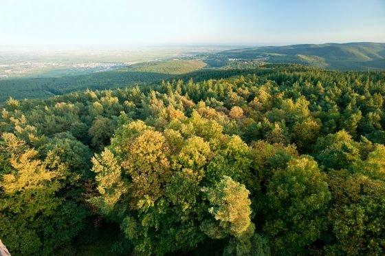 Harmonie zwischen Mensch und Umwelt