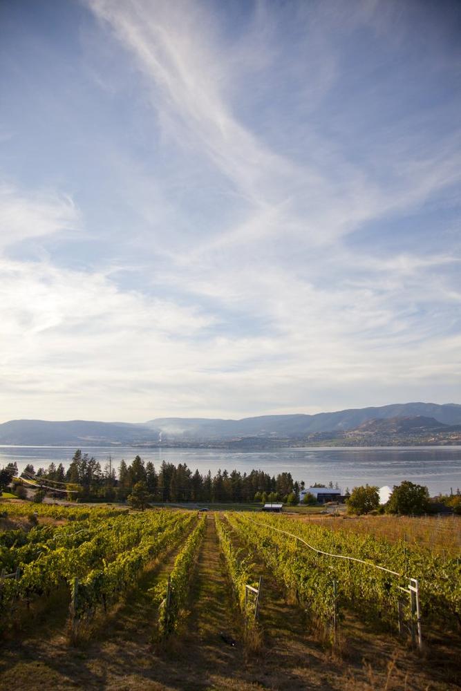 Next Generation: Nachhaltige Initiativen in Kelowna, British Columbia