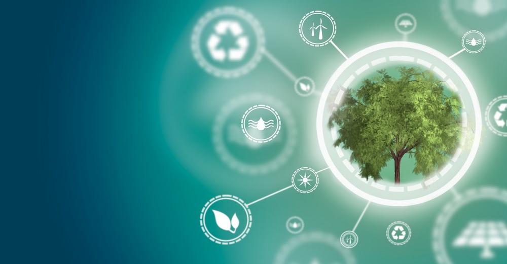 ParkHere wird CO2-neutral