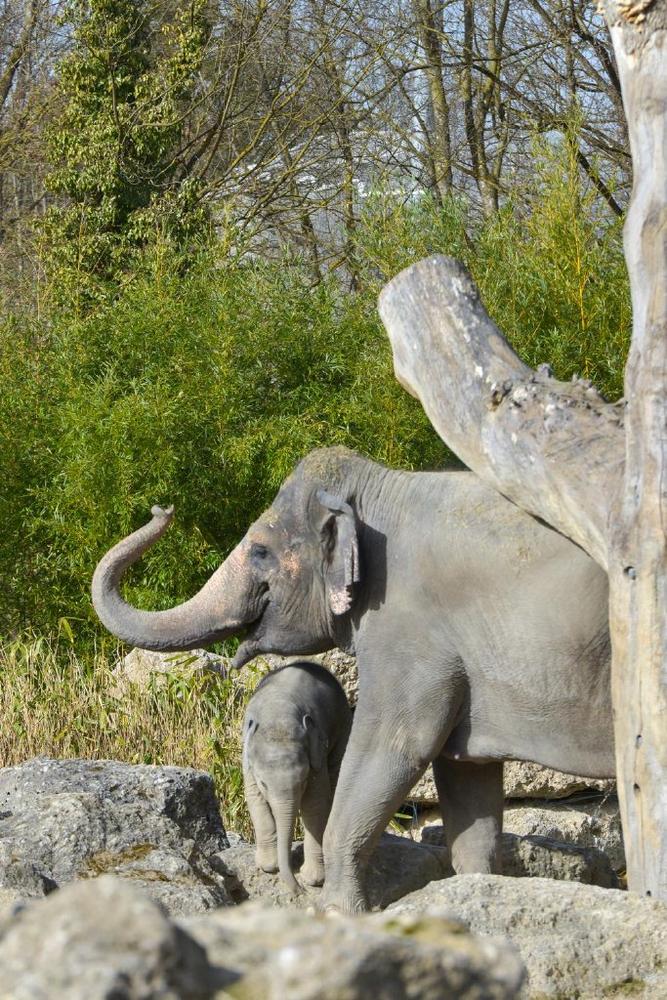 Otto zum ersten Mal auf der Außenanlage