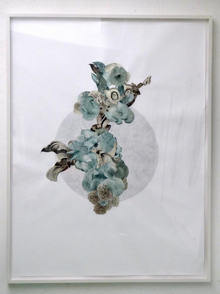 LABOR-Projektgalerie präsentiert mit der Ausstellung „FLORADORA Blumen und Codes“ spannende Arbeiten der Kölner Künstlerin Sabine Weber