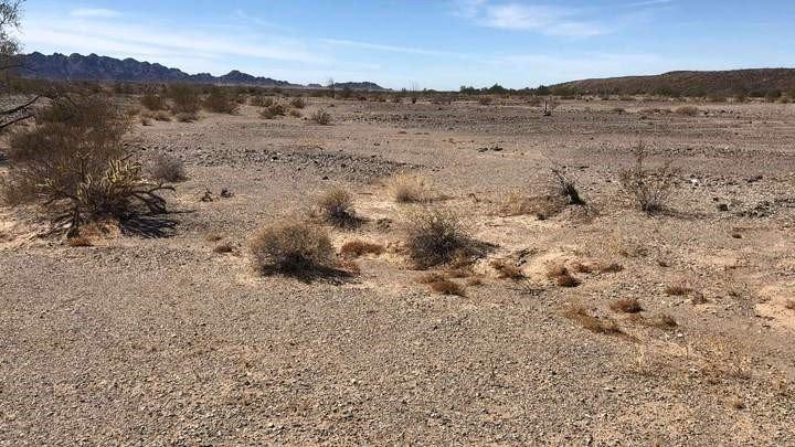 Gold – ein Stehaufmännchen