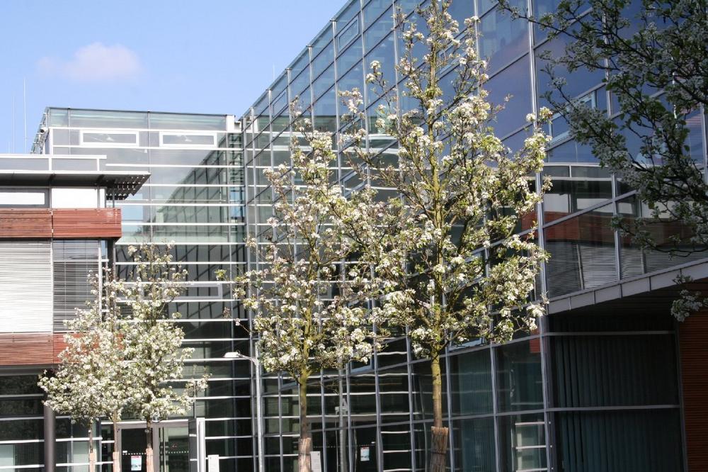 Berufsbegleitendes Masterstudium: Bewerbungsphase für das MBA- Fernstudienprogramm startet am 3. Mai