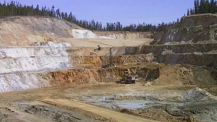 Chinchillas make prospectors sweat