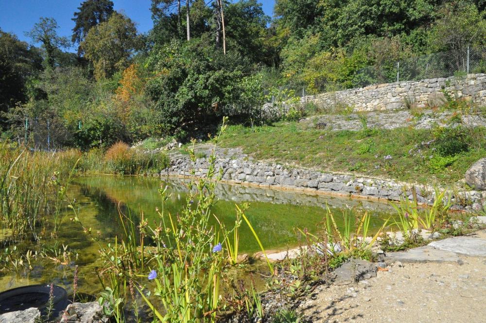 Das Naturparadies und der Naschgarten gewinnen