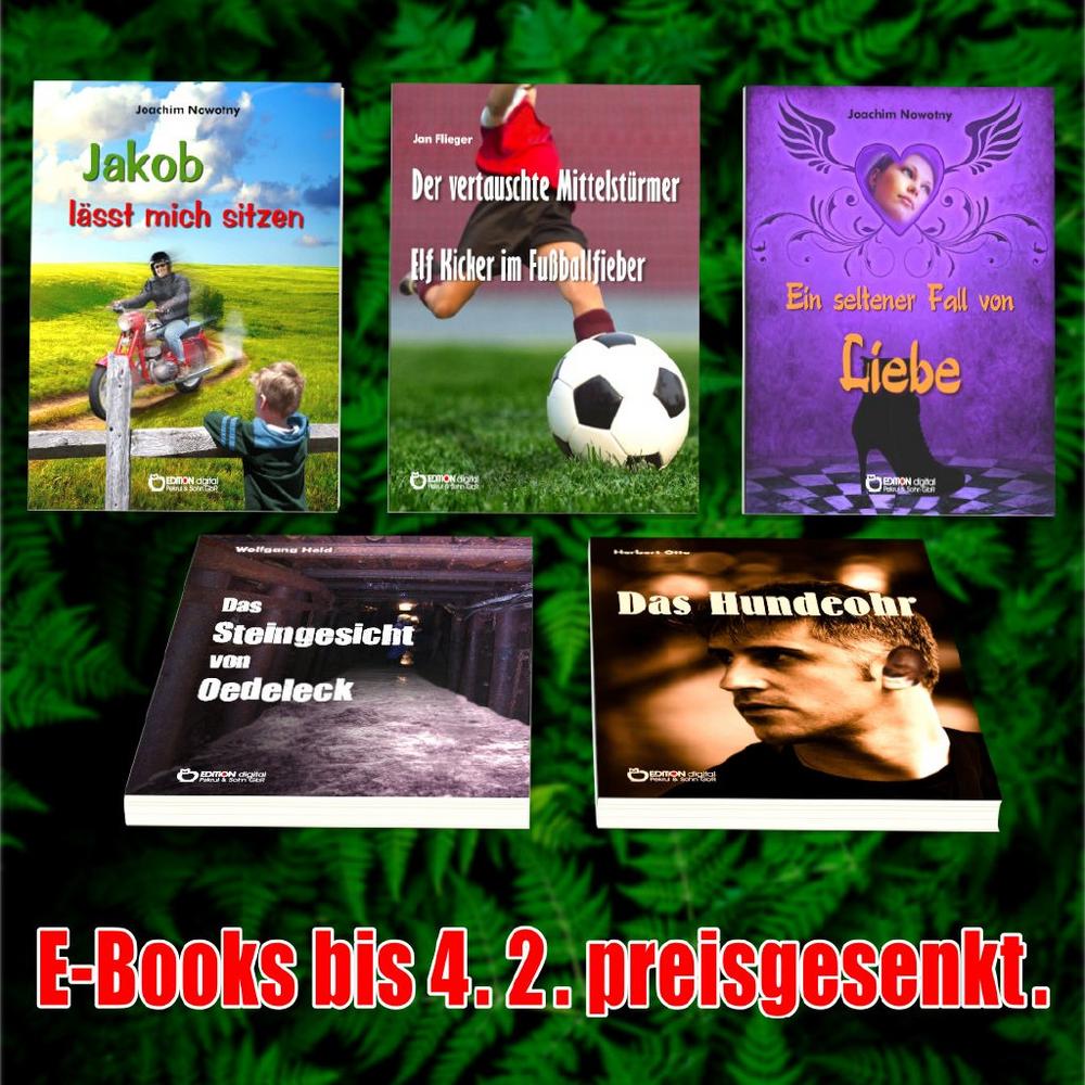 Ein Sturz vom Pferd, eine Sozia und vom Glück, eine Zwillingschwester zu haben – Fünf E-Books von Freitag bis Freitag zum Sonderpreis