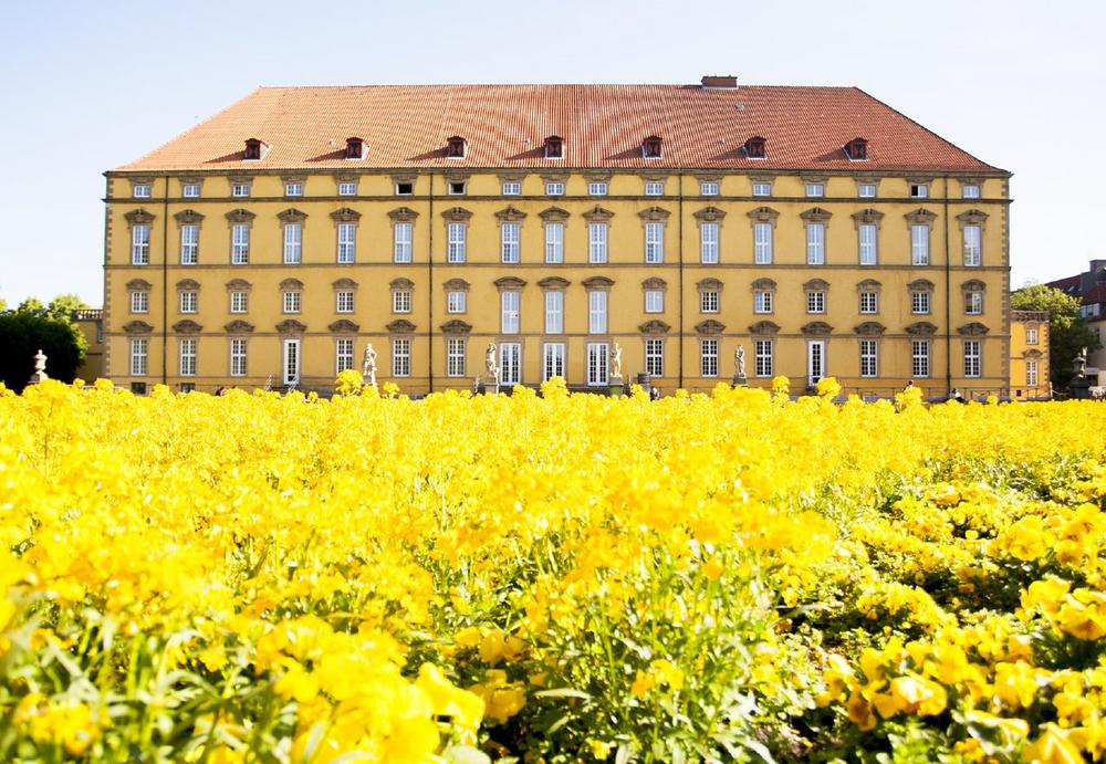 Osnabrücker Hochschulen zeigen Studieninteressierten ihre ganze Bandbreite