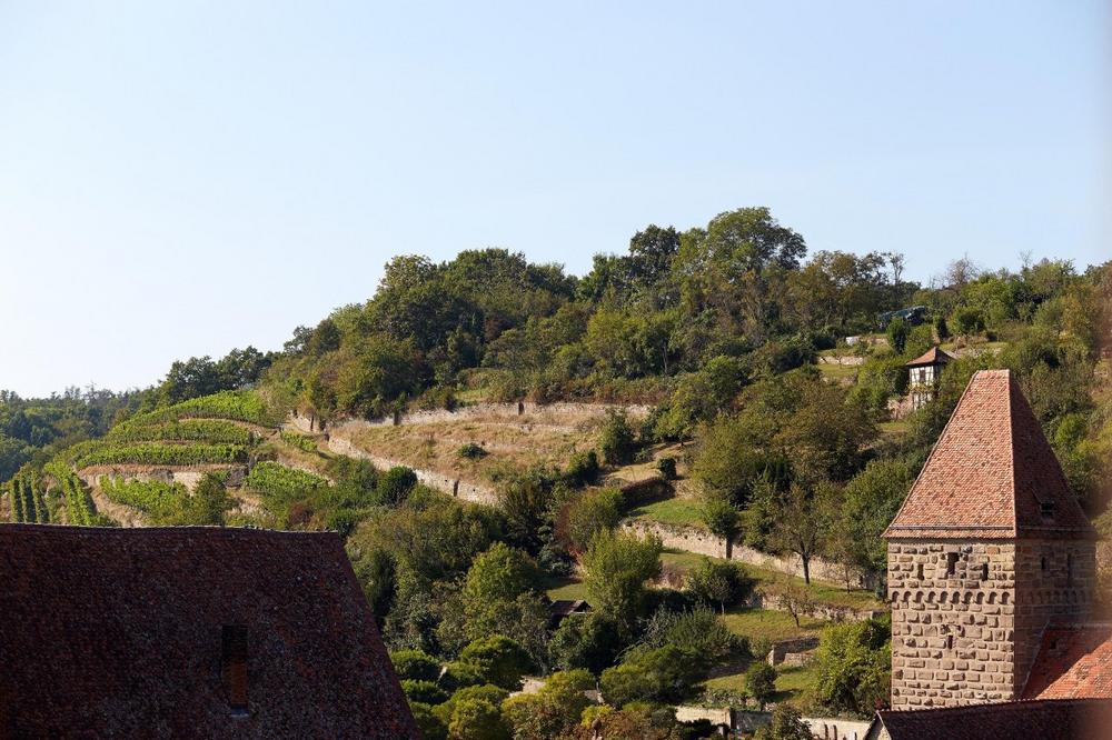 Ein Blick auf die Wandmalereien und Führung durch den Closterweinberg