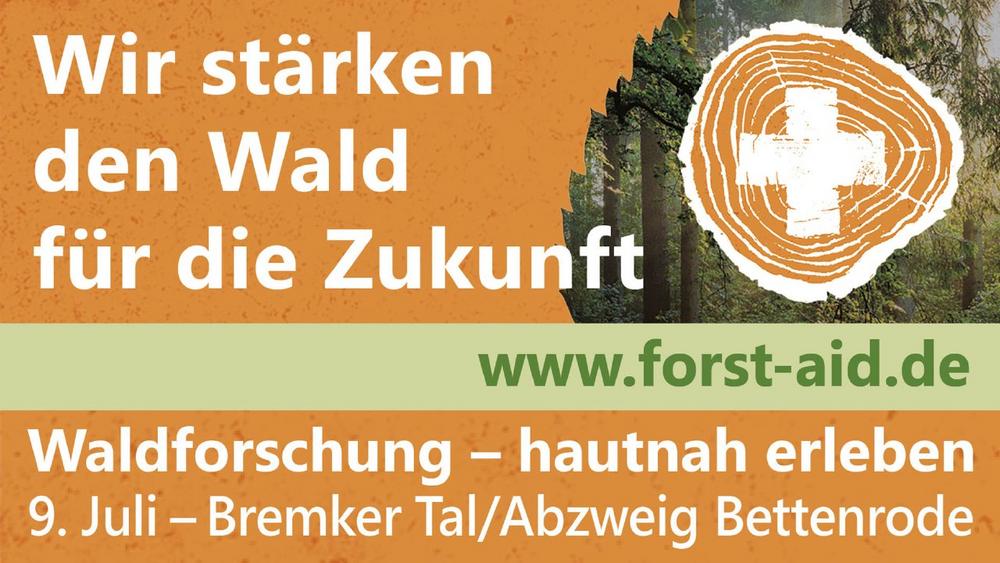 Wie sieht der Wald von morgen aus?