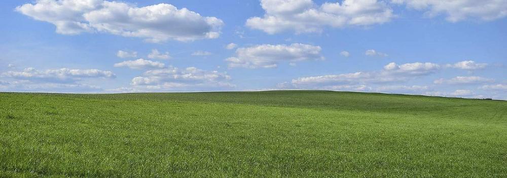 Carbon Farming kann wichtigen Beitrag zur Treibhausgasneutralität leisten