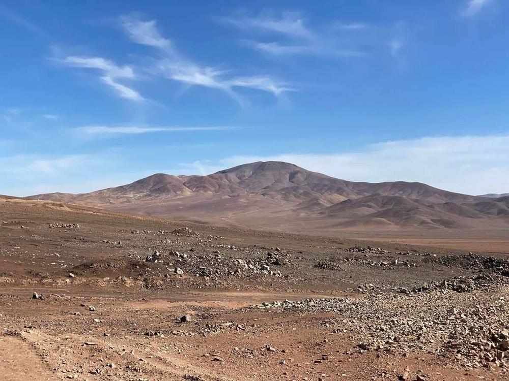 2023 – das Jahr des Kaninchens