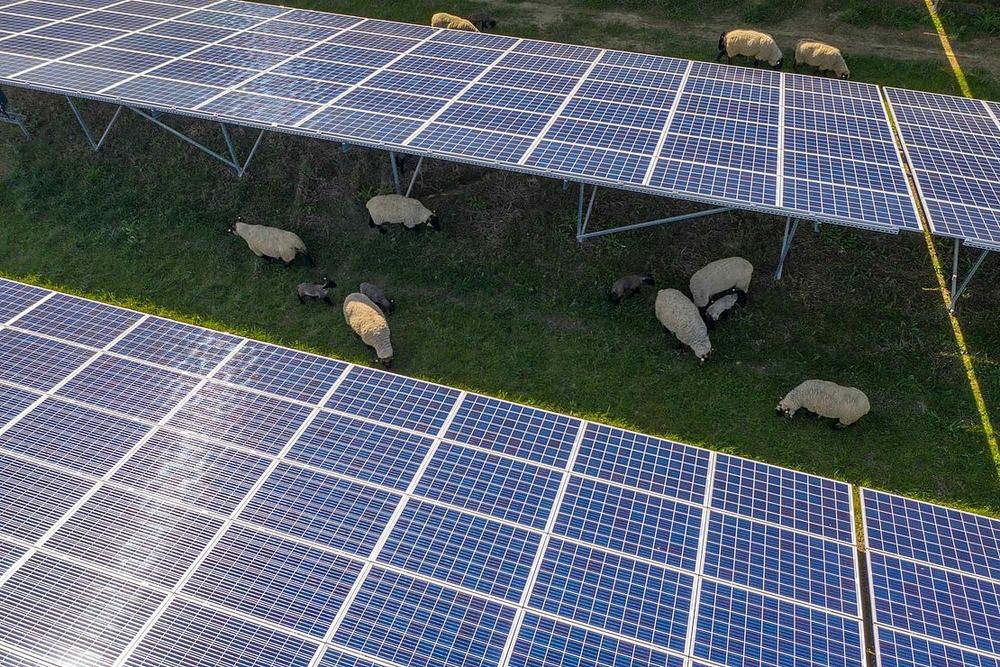 bne-Positionspapier: Hürdenabbau bei der Erbschaftssteuer bei PV-Freiflächenanlagen