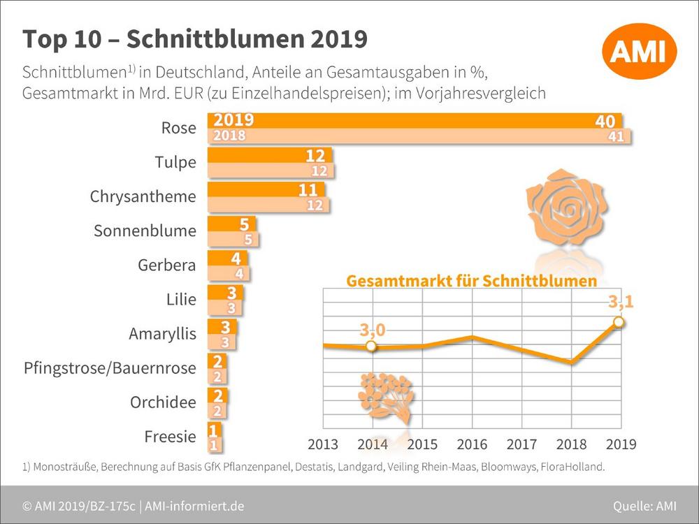 Zierpflanzen: Vorlieben der Deutschen stabil