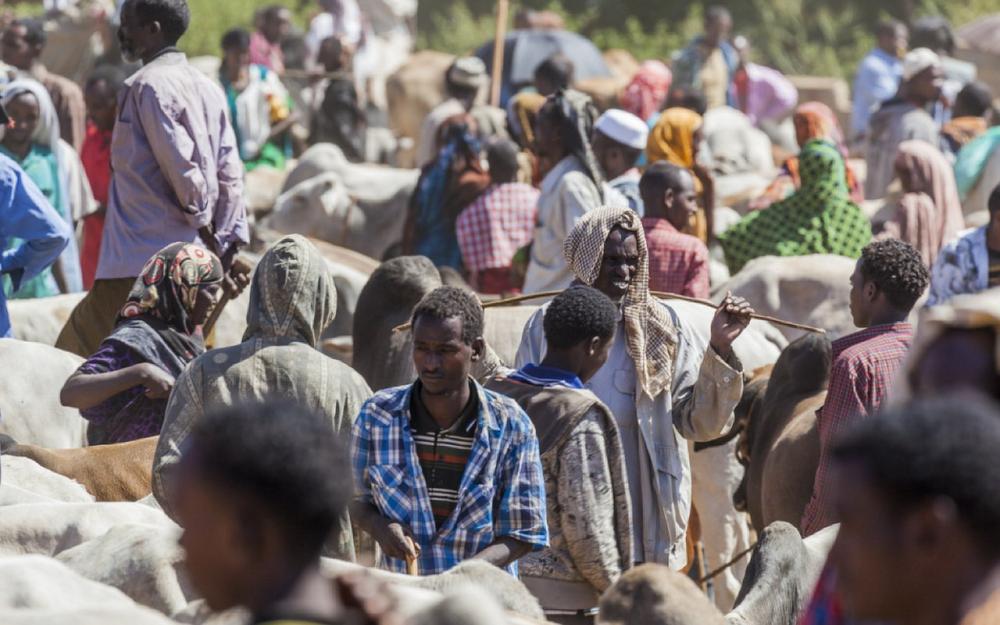 Credendo analysiert Aufhebung der ECOWAS-Sanktionen gegen Mali