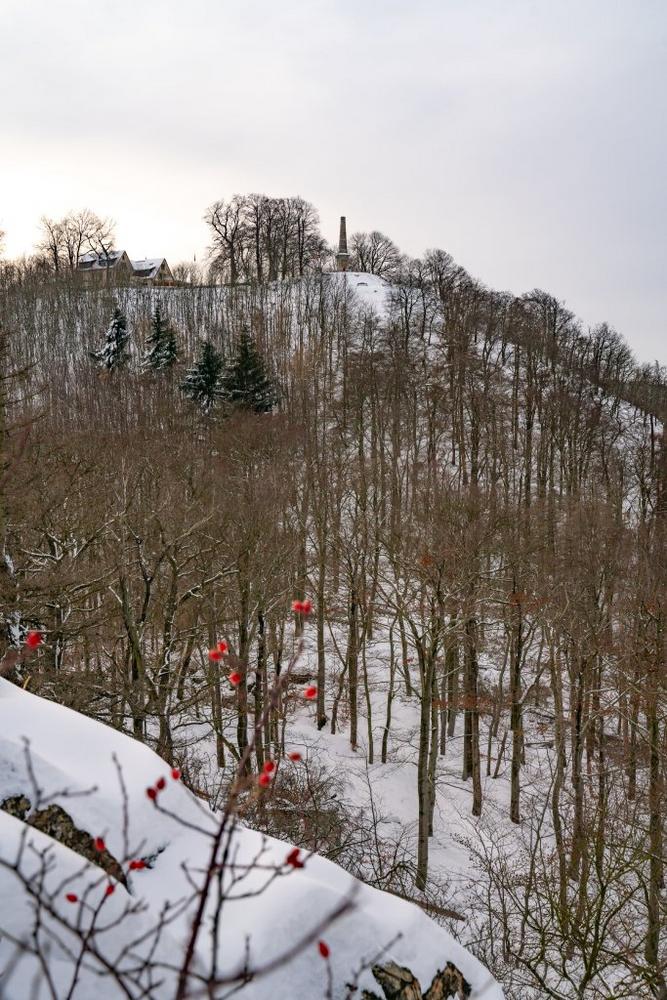 Aufstieg über die Ettersklippe zum Molkenhaus