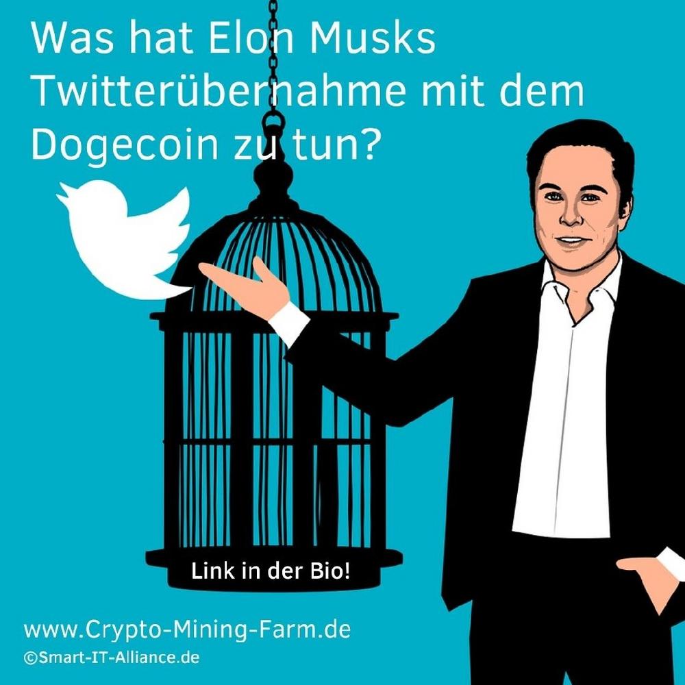 Was hat Elon Musks Twitterübernahme mit dem Dogecoin zu tun?