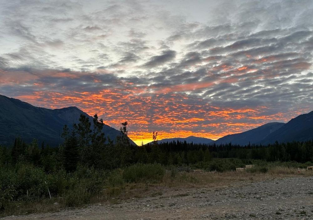 Brixton Metals: Bis zu 16,7% Kupfer, 52,5 g/t Gold und 4.120 g/t Silber auf Thorn entdeckt