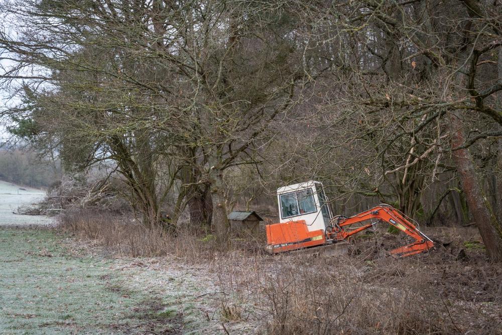 Den Weg frei machen für einen artenreichen Bewuchs
