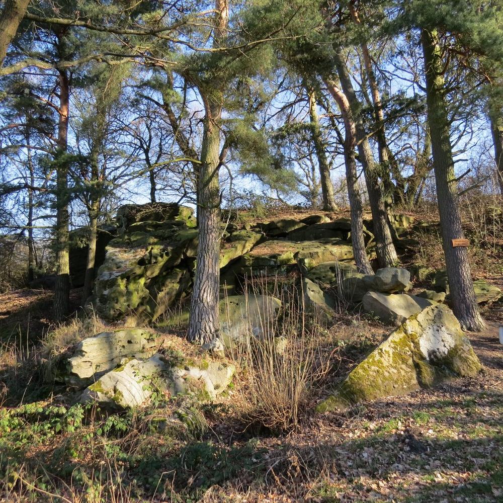 Internationale Jahrestagung GeoTop im Vogelsberg