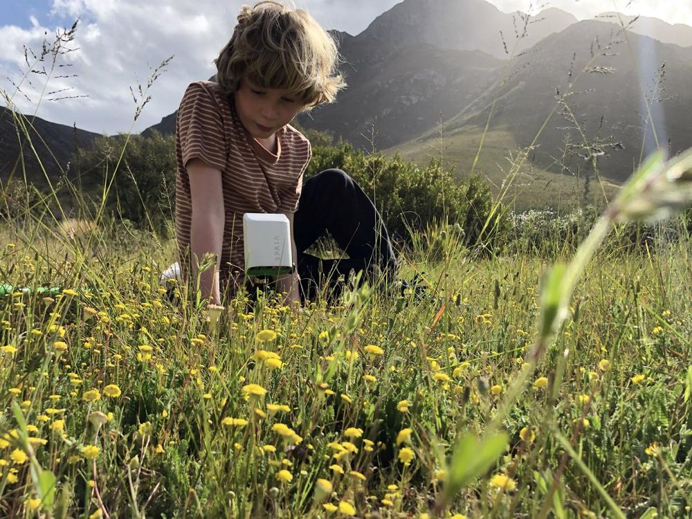 Measuring environmental damage with the help of insects