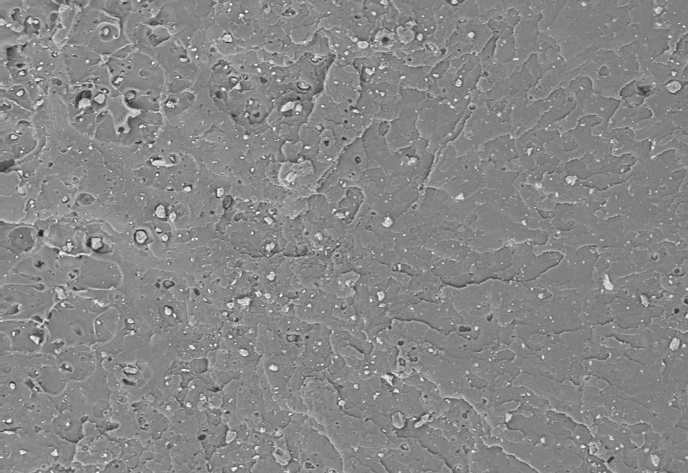 Innovative process to accelerate PLA degradation: New project to develop industrially applicable, environmentally friendly plastic solutions