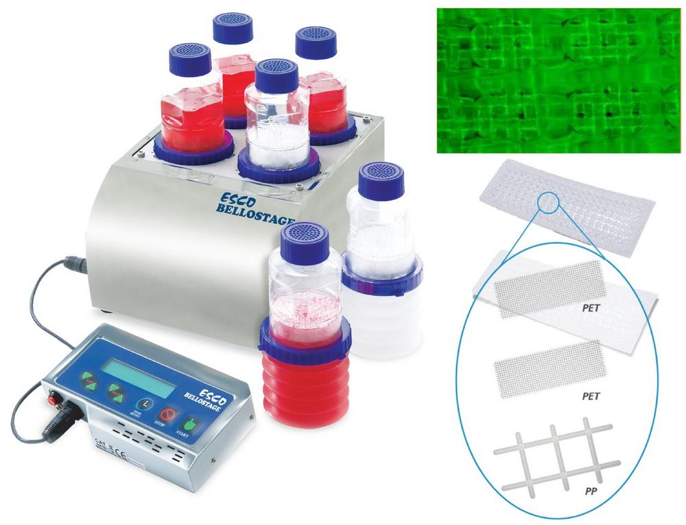 New BioMesh Macrocarriers for cultivation of stem cells in the BelloCell reactor system