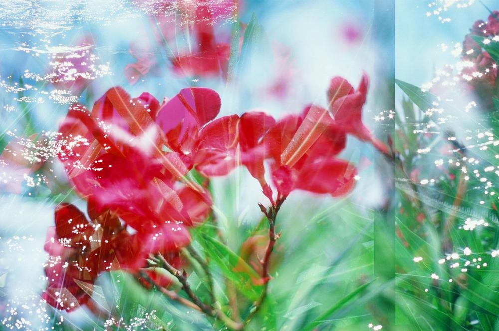 Nach dem Krebs zurück ins Leben: Subtle Body Balance nach der Göthert-Methode unterstützt die Rekonvaleszenz