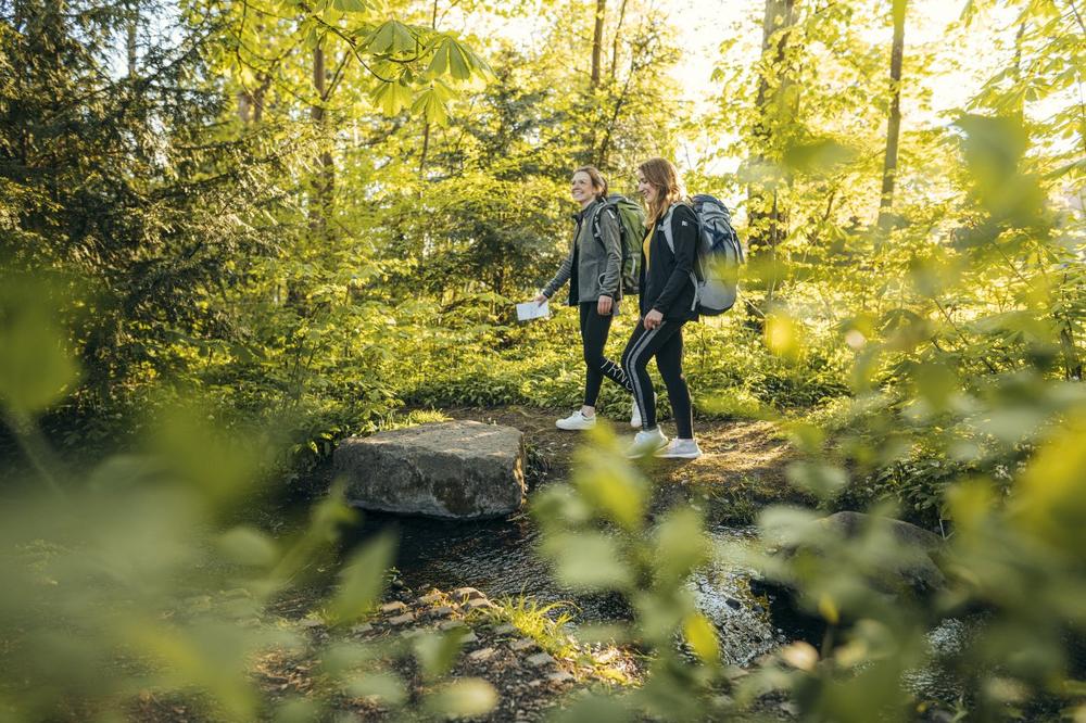 Naturnahe Weitblicke: Premiumwandern am Westlichen Bodensee