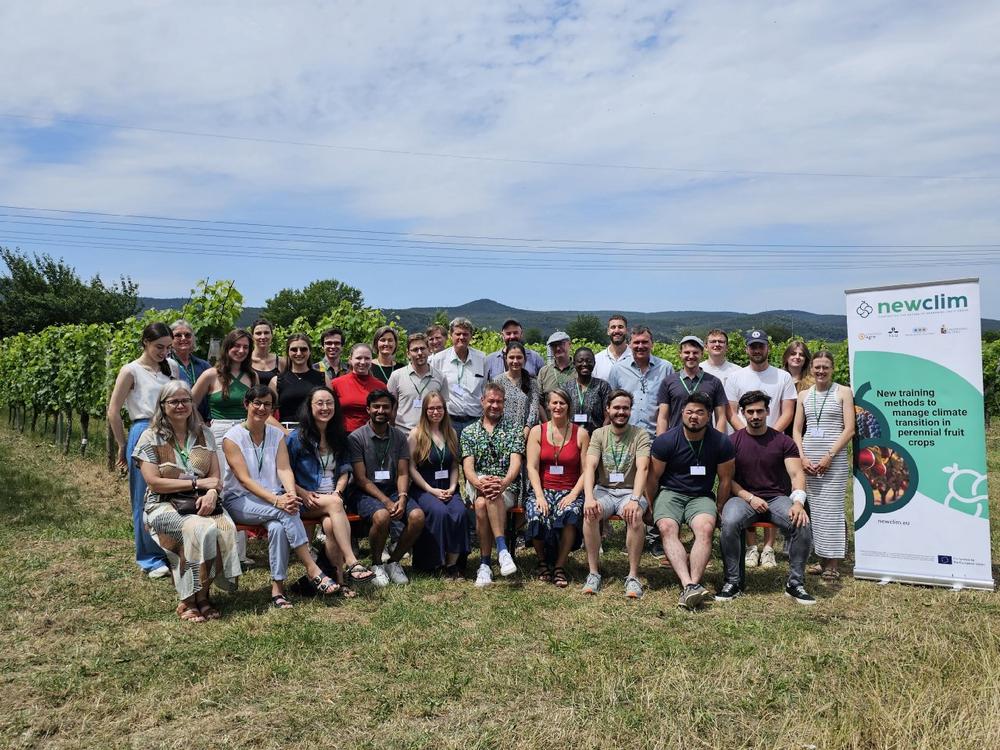 NEWCLIM SUMMER SCHOOL 2025: Weincampus Neustadt wird zum Mittelpunkt des internationalen Projekts im Kampf gegen die Auswirkungen des Klimawandels im Weinbau