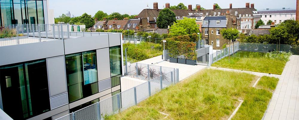 Probabilistische soziale Kosten-Nutzen-Analyse für Gründächer: Ein Lebenszyklusansatz