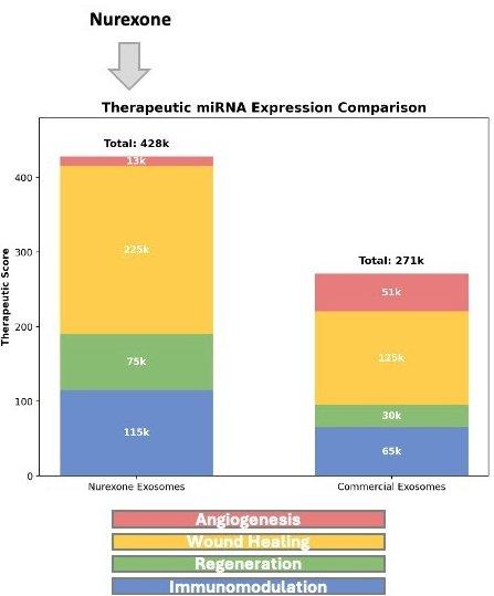 Exosomen von NurExone zeigen stärkeres Heilungspotenzial als Branchenstandard