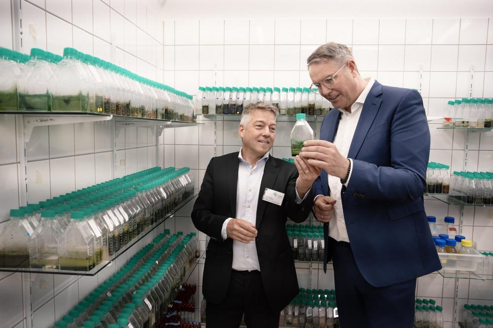 Mikroorganismen als Motor für nachhaltigen Strukturwandel