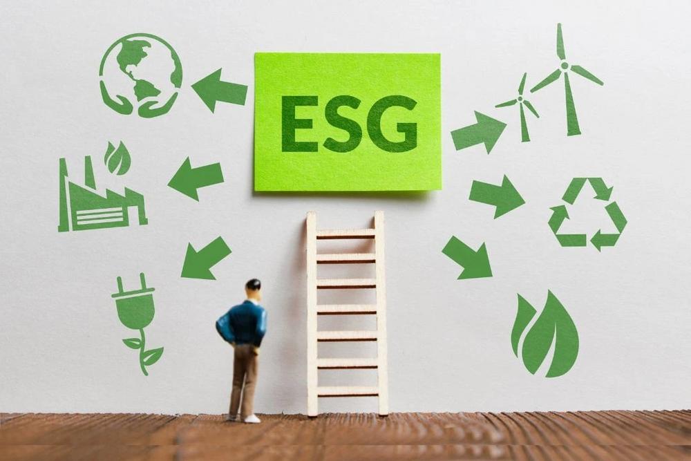 ESG-Kriterien: Nachhaltigkeit und Transparenz mit grünem Strom