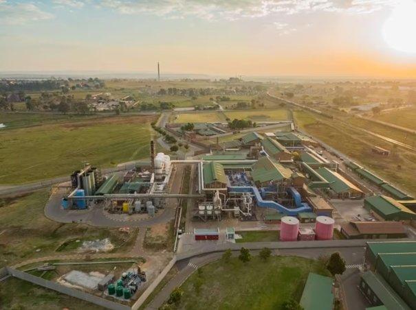 Gold, platinum, and copper