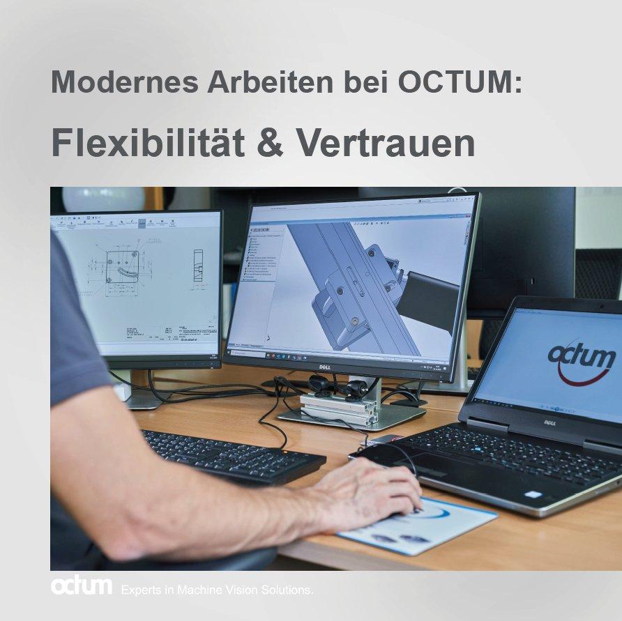 Modernes Arbeiten bei OCTUM: Flexibilität trifft Sicherheit