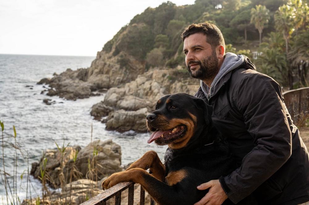 Große Hunde, große Verantwortung