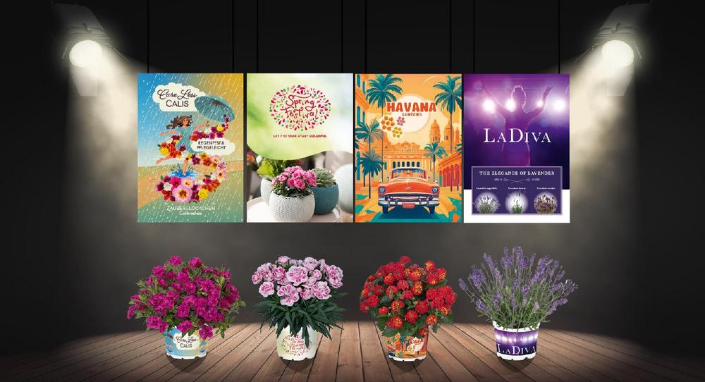 Dümmen Orange rückt Highlights für jede Saison und jedes Umfeld ins Rampenlicht