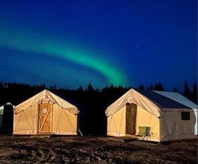 Nuclear reactors ensure safety